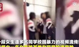 798灵儿被爆料视频第几集,揭秘第几集惊人内幕